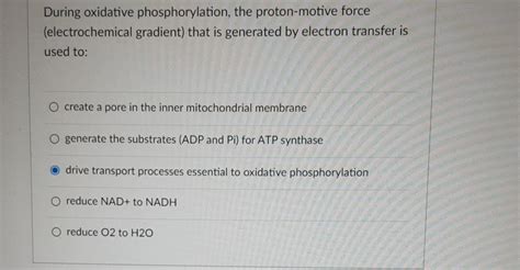 Solved During oxidative phosphorylation, the proton-motive | Chegg.com 