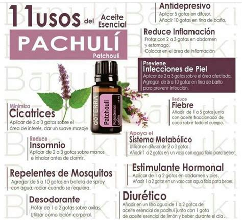 Usos Del Pachuli Aceite Esencial De Pachuli Recetas De Aceites