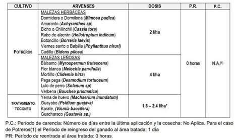 Herbicida Escorpi N Sl X Lt Croper