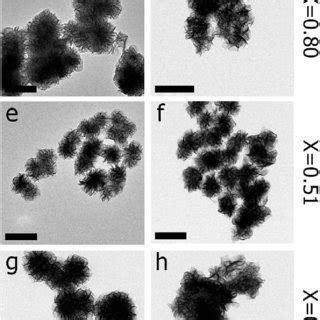 Time Series Analysis Of Mose Particles Tem Images Of Mose