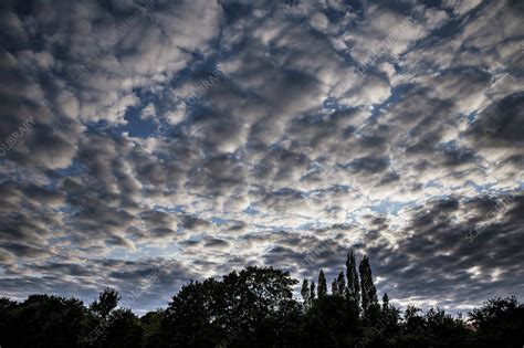 Altocumulus Stratiformis Clouds Stock Image C040 2785 Science