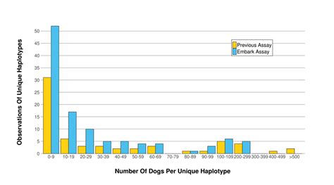 Dog Ancestry Research | Embark