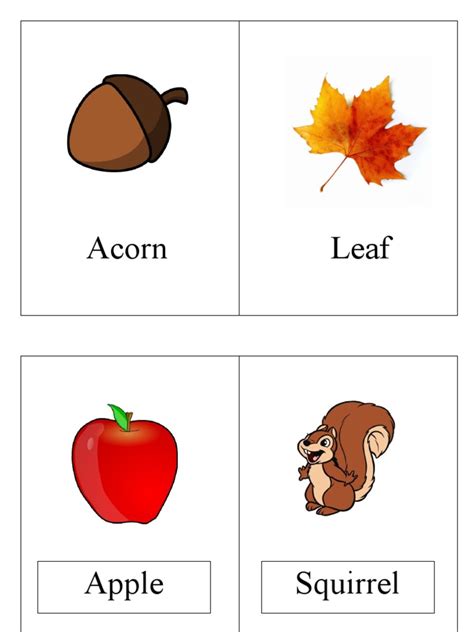 Autumn Flashcards | PDF