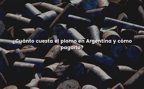 Cuánto cuesta el plomo en Argentina y cómo pagarlo Cómo Pagar