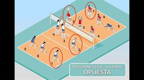 Opuesto En Voleibol Youtube