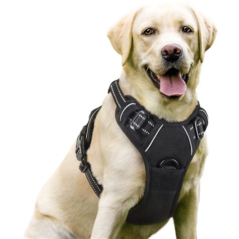 Buy Rabbitgoo Dog Harness Large Dog No Pull Pet Harness With 2 Leash