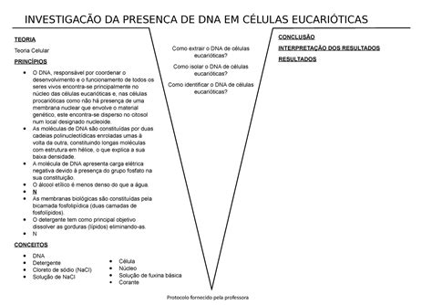 V de gowin Como extrair o DNA de células eucarióticas Como isolar o