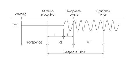 Components Of Reaction Time Rt Adapted From Schmidt And Lee 1999 I