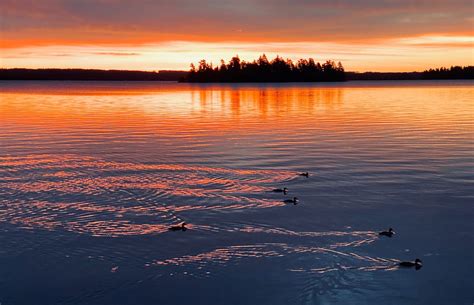 2106 - Vermilion Lake Association