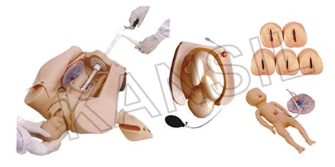 Advanced Abdominal Palpation And Mechanism Model Manufacturer Supplier