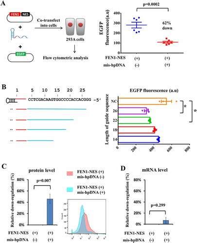 Full Article A Novel Strategy For Orthogonal Genetic Regulation On