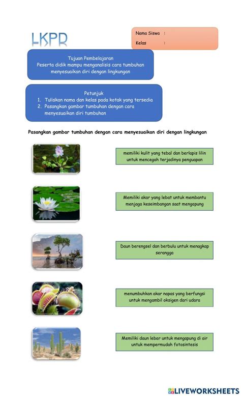 Adaptasi Tumbuhan Worksheet For 6 Live Worksheets