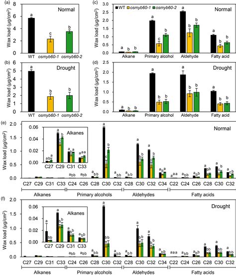 Mutation Of OsMYB60 Reduces Rice Resilience To Drought Stress By