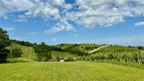 Aromatica Un Viaggio Sensoriale Tra I Profumi Del Vino RossoRubino Tv