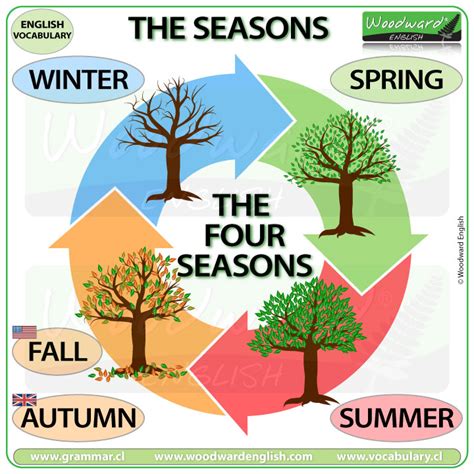 Seasons Vocabulary in English | Woodward English