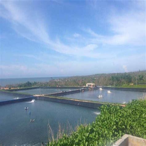 0 5 2 0mm Anti Seepage Double Sided Smooth HDPE Pond Lining Dam Liner