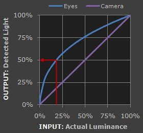 Understanding Gamma Correction