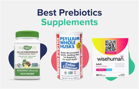 What Are Prebiotics A Comprehensive Guide The Nutrition Insider