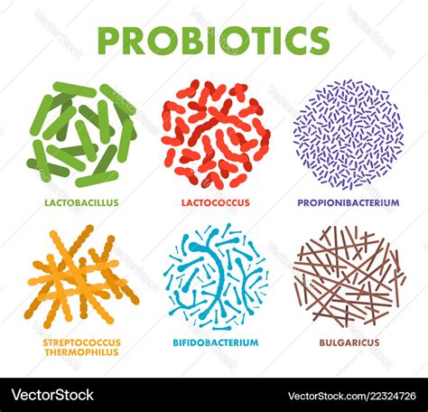 Probiotics Good Bacteria And Microorganisms Vector Image