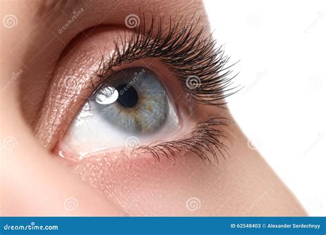 Macro Shot Of Woman S Beautiful Eye With Extremely Long Eyelashes Stock