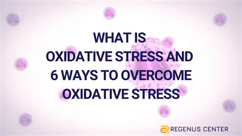 What Is Oxidative Stress And 6 Ways To Overcome Oxidative Stress