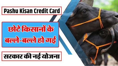 Pashu Kisan Credit Card छोटे किसानों के बल्ले बल्ले हो गई सरकार की नई