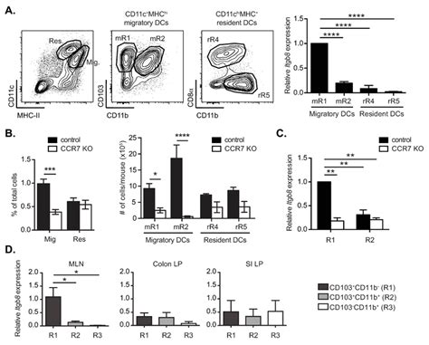 Integrin Expression And Activation Of Tgf By Intestinal Dendritic