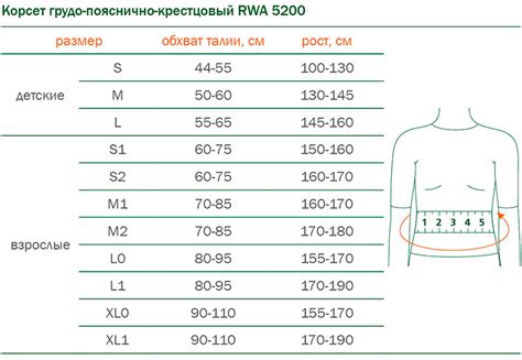 Корсет ортопедический Orto грудо-пояснично-крестцовый усиленный ...