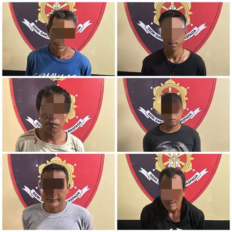 Digerebek Polisi Enam Pria Asyik Bermain Qiu Qiu Fakta Kalsel