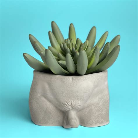 Nude Body Sculpture Vase Etsy Canada