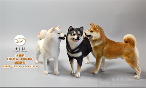 【扭蛋達人】2019年第一季 Shiba Lun 超萌柴犬 3種顏色可選預定特價 露天市集 全台最大的網路購物市集