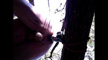 20170226 161737 XVIDEOS