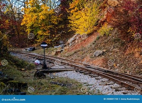 Old Narrow Gauge Railway In Autumn Forest Rails And Sleepers