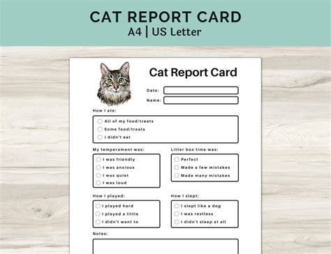 Cat Report Card Printable For Pet Sitting Or Cat Boarding Pet Etsy