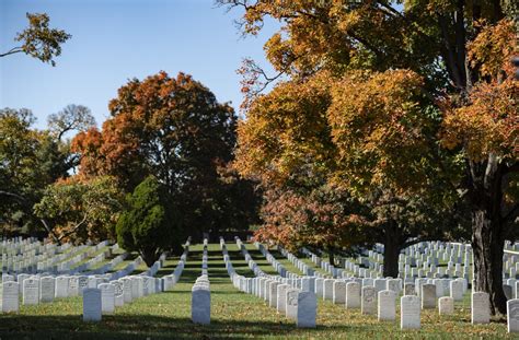 Moaa Honor Veterans Day By Helping Preserve Arlington National