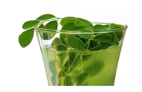 Ginger And Moringa The Miraculous Combination That Fights Many Diseases