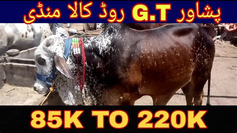 Peshawar Kala Mandi New Update St June Bakra Eid