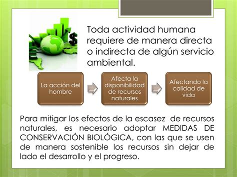 PPT Pago Por Servicios Ambientales PowerPoint Presentation Free