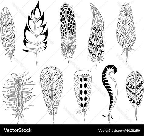 Black And White Feathers Royalty Free Vector Image