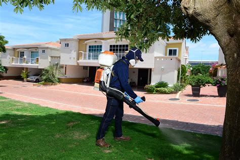 C Mo Realizar Una Correcta Fumigaci N En Barranquilla