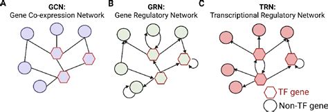 Figure From Approaches For Benchmarking Single Cell Gene Regulatory