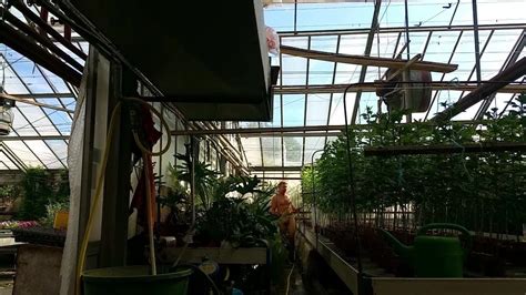 2015 September Watering Naked At Work German Gay Amateur Porn XHamster