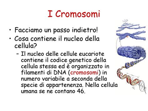 La Scienza Dellereditariet Ppt Scaricare