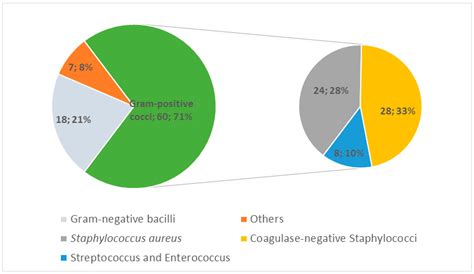 Risk Factors for Surgical Site Infections in Elective Orthopedic Foot