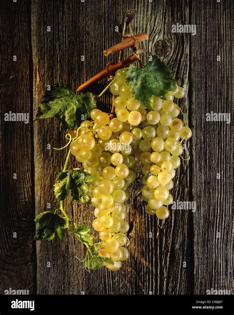 chasselas grapes Stock Photo - Alamy