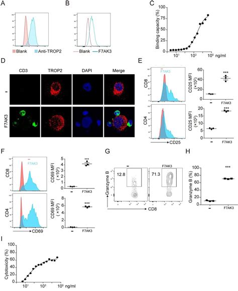 Bispecific Antibody Targeting TROP2xCD3 Suppresses Tumor Growth Of