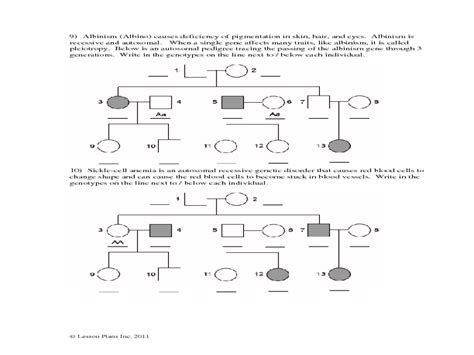 Pedigree Worksheet Interpreting A Human Pedigree