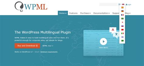 What Is A Multilingual Website And How To Build It With Examples W3 Lab