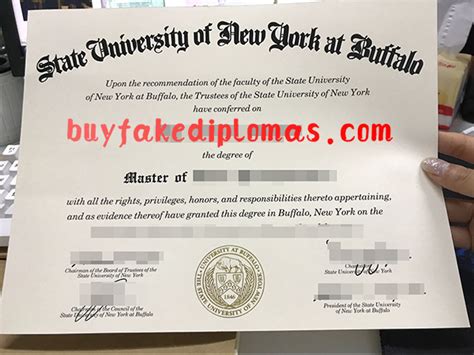 Why Do Fake State University of New York Diploma So Popular? | Buy Fake ...