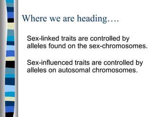 Sex Influenced Traits Ppt